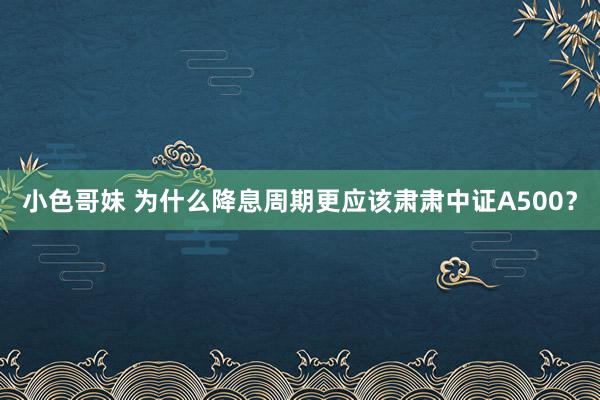 小色哥妹 为什么降息周期更应该肃肃中证A500？