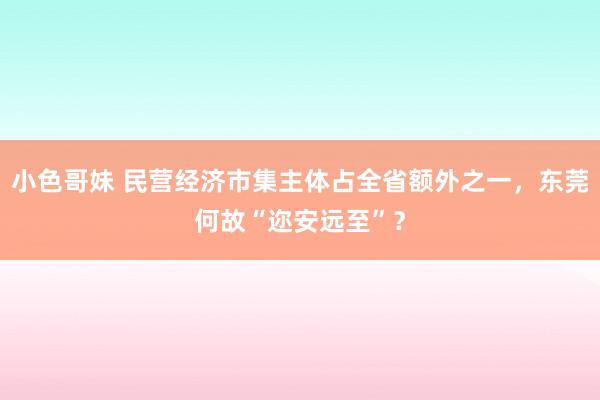 小色哥妹 民营经济市集主体占全省额外之一，东莞何故“迩安远至”？