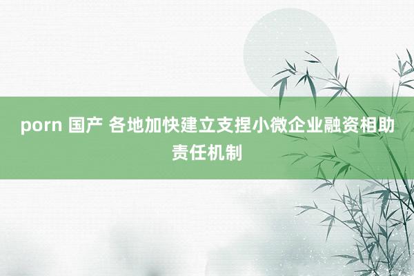 porn 国产 各地加快建立支捏小微企业融资相助责任机制