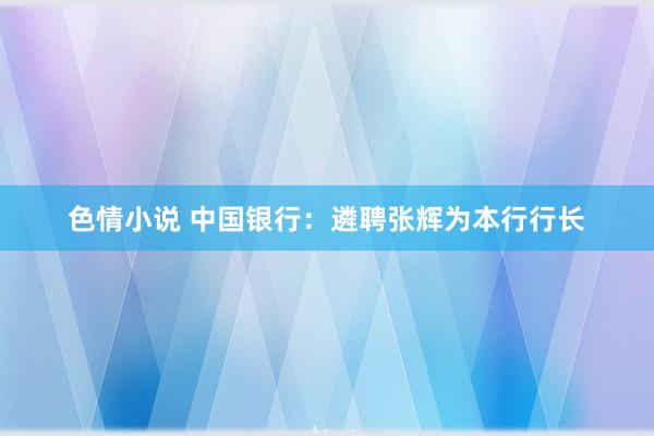 色情小说 中国银行：遴聘张辉为本行行长