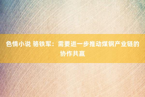 色情小说 骆铁军：需要进一步推动煤钢产业链的协作共赢