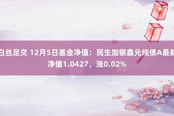 白丝足交 12月5日基金净值：民生加银鑫元纯债A最新净值1.0427，涨0.02%