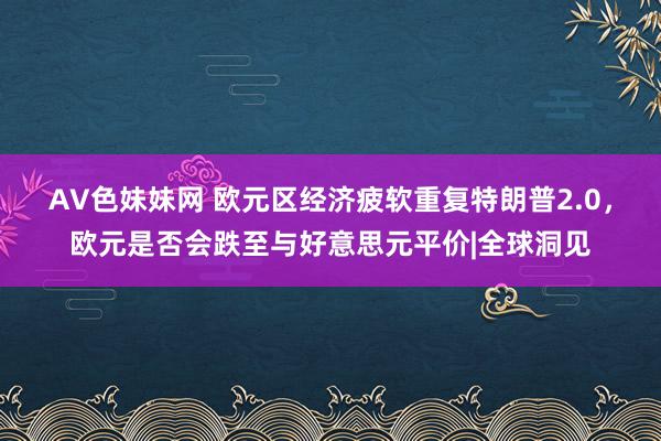 AV色妹妹网 欧元区经济疲软重复特朗普2.0，欧元是否会跌至与好意思元平价|全球洞见
