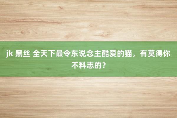 jk 黑丝 全天下最令东说念主酷爱的猫，有莫得你不料志的？