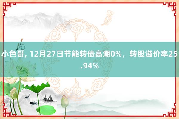 小色哥， 12月27日节能转债高潮0%，转股溢价率25.94%