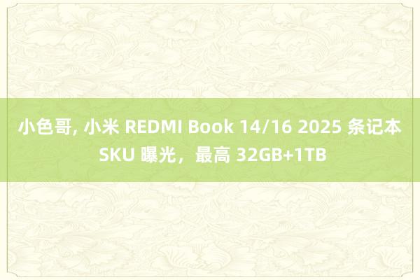 小色哥， 小米 REDMI Book 14/16 2025 条记本 SKU 曝光，最高 32GB+1TB