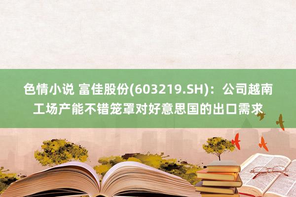 色情小说 富佳股份(603219.SH)：公司越南工场产能不错笼罩对好意思国的出口需求