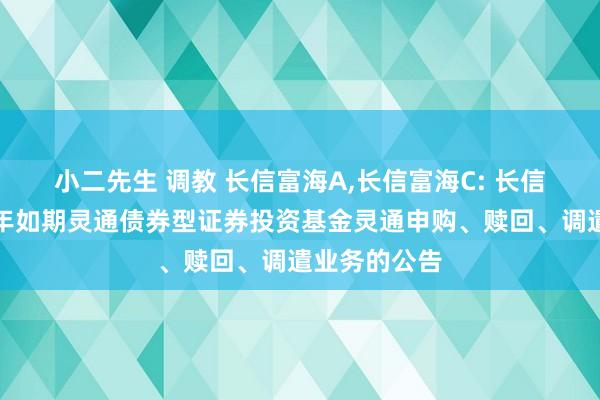 小二先生 调教 长信富海A,长信富海C: 长信富海纯债一年如期灵通债券型证券投资基金灵通申购、赎回、调遣业务的公告