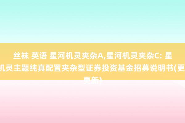 丝袜 英语 星河机灵夹杂A,星河机灵夹杂C: 星河机灵主题纯真配置夹杂型证券投资基金招募说明书(更新)