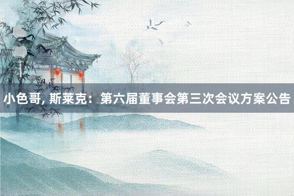 小色哥， 斯莱克：第六届董事会第三次会议方案公告