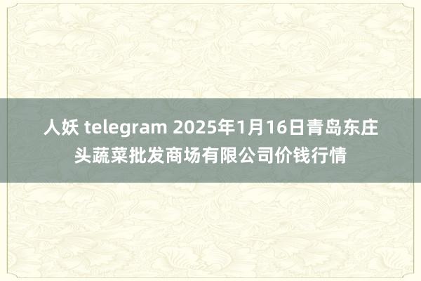 人妖 telegram 2025年1月16日青岛东庄头蔬菜批发商场有限公司价钱行情