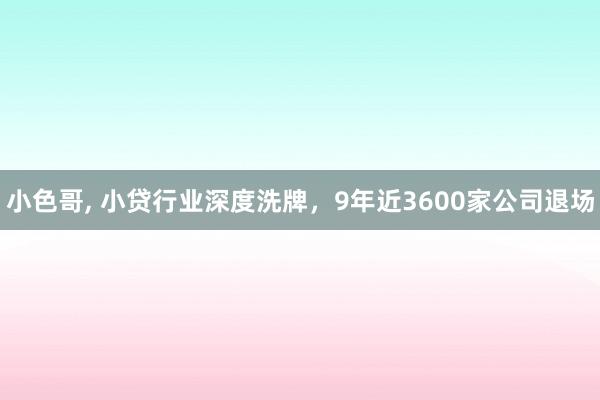 小色哥, 小贷行业深度洗牌,9年近3600家公司退场