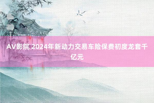 AV影院 2024年新动力交易车险保费初度龙套千亿元