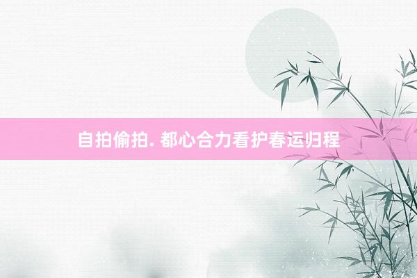 自拍偷拍. 都心合力看护春运归程