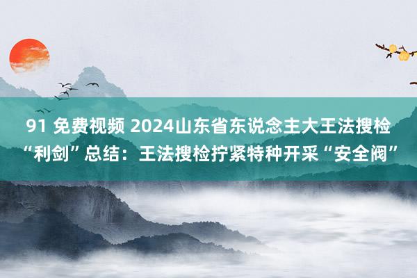 91 免费视频 2024山东省东说念主大王法搜检“利剑”总结：王法搜检拧紧特种开采“安全阀”