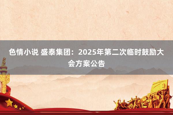 色情小说 盛泰集团：2025年第二次临时鼓励大会方案公告