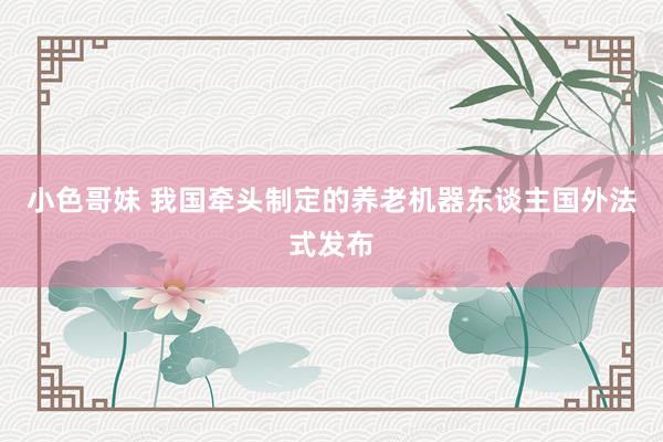 小色哥妹 我国牵头制定的养老机器东谈主国外法式发布