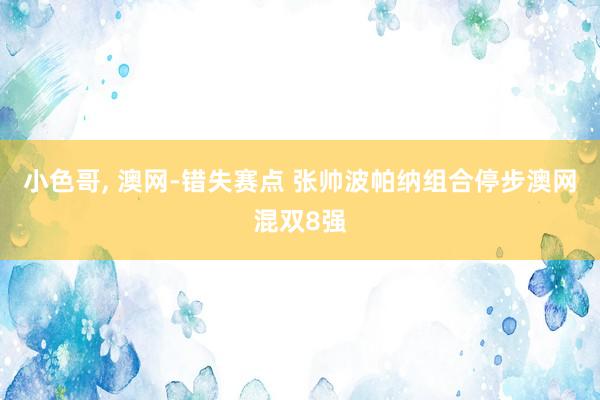 小色哥， 澳网-错失赛点 张帅波帕纳组合停步澳网混双8强