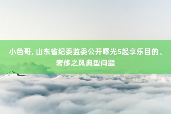 小色哥， 山东省纪委监委公开曝光5起享乐目的、奢侈之风典型问题
