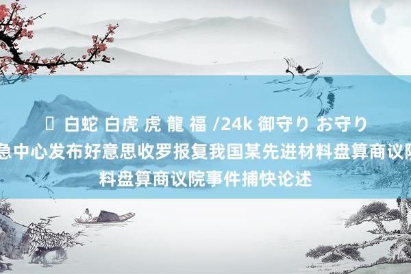 ✨白蛇 白虎 虎 龍 福 /24k 御守り お守り 国度互联网救急中心发布好意思收罗报复我国某先进材料盘算商议院事件捕快论述