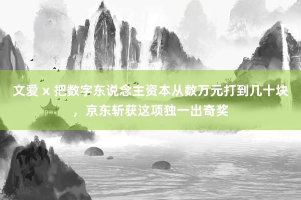 文爱 x 把数字东说念主资本从数万元打到几十块，京东斩获这项独一出奇奖