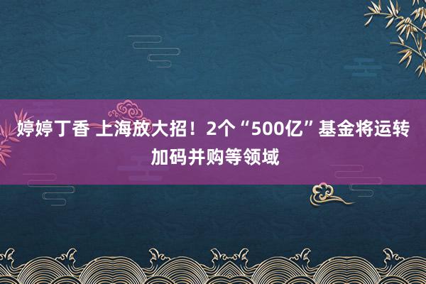 婷婷丁香 上海放大招！2个“500亿”基金将运转 加码并购等领域