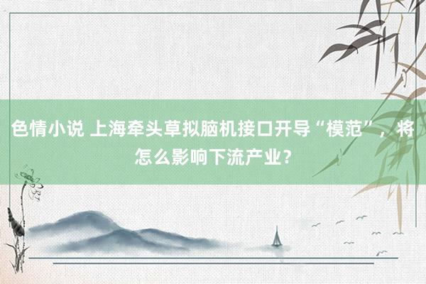 色情小说 上海牵头草拟脑机接口开导“模范”，将怎么影响下流产业？