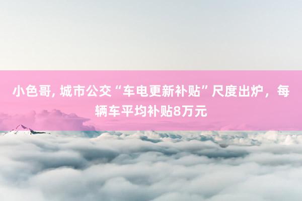 小色哥， 城市公交“车电更新补贴”尺度出炉，每辆车平均补贴8万元
