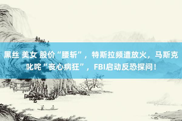 黑丝 美女 股价“腰斩”，特斯拉频遭放火，马斯克叱咤“丧心病狂”，FBI启动反恐探问！