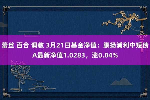 蕾丝 百合 调教 3月21日基金净值：鹏扬浦利中短债A最新净值1.0283，涨0.04%