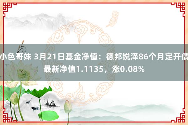 小色哥妹 3月21日基金净值：德邦锐泽86个月定开债最新净值1.1135，涨0.08%