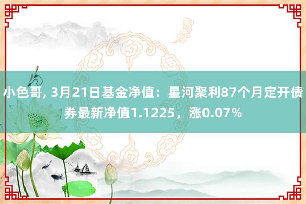 小色哥， 3月21日基金净值：星河聚利87个月定开债券最新净值1.1225，涨0.07%
