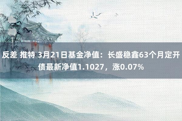 反差 推特 3月21日基金净值：长盛稳鑫63个月定开债最新净值1.1027，涨0.07%