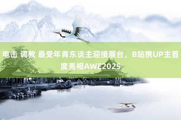 电击 调教 最受年青东谈主迎接展台，B站携UP主首度亮相AWE2025