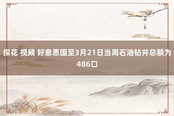 探花 视频 好意思国至3月21日当周石油钻井总额为486口