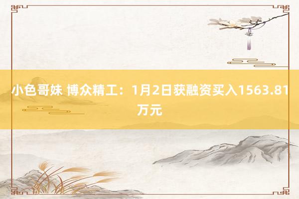 小色哥妹 博众精工：1月2日获融资买入1563.81万元