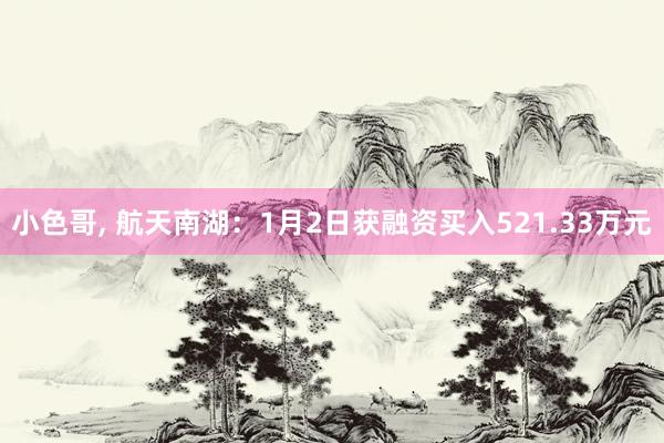 小色哥， 航天南湖：1月2日获融资买入521.33万元