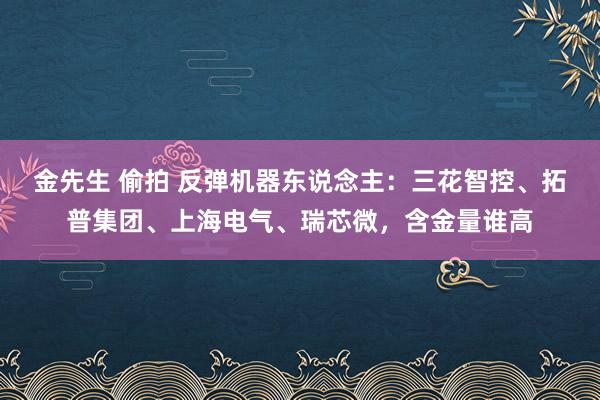 金先生 偷拍 反弹机器东说念主：三花智控、拓普集团、上海电气、瑞芯微，含金量谁高