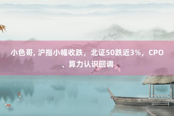 小色哥， 沪指小幅收跌，北证50跌近3%，CPO、算力认识回调