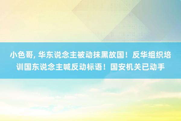 小色哥， 华东说念主被动抹黑故国！反华组织培训国东说念主喊反动标语！国安机关已动手