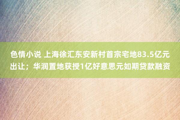 色情小说 上海徐汇东安新村首宗宅地83.5亿元出让；华润置地获授1亿好意思元如期贷款融资