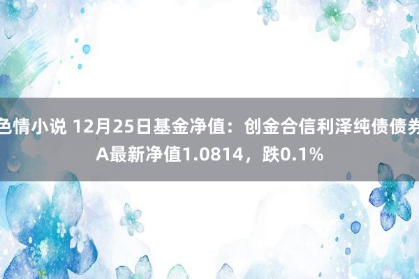 色情小说 12月25日基金净值：创金合信利泽纯债债券A最新净值1.0814，跌0.1%