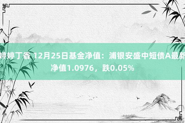 婷婷丁香 12月25日基金净值：浦银安盛中短债A最新净值1.0976，跌0.05%