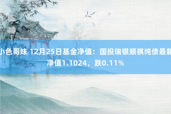 小色哥妹 12月25日基金净值：国投瑞银顺祺纯债最新净值1.1024，跌0.11%