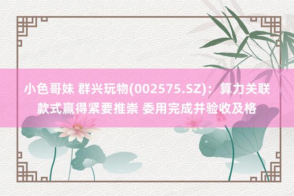 小色哥妹 群兴玩物(002575.SZ)：算力关联款式赢得紧要推崇 委用完成并验收及格