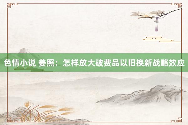 色情小说 姜照：怎样放大破费品以旧换新战略效应