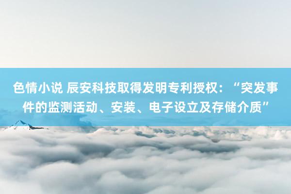 色情小说 辰安科技取得发明专利授权：“突发事件的监测活动、安装、电子设立及存储介质”