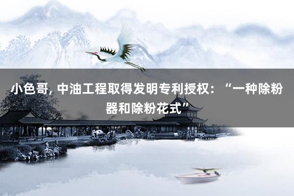 小色哥， 中油工程取得发明专利授权：“一种除粉器和除粉花式”
