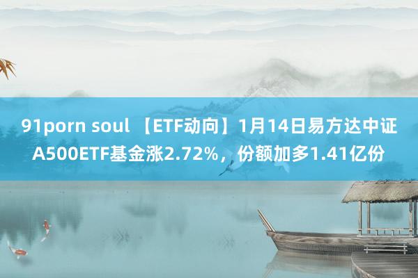 91porn soul 【ETF动向】1月14日易方达中证A500ETF基金涨2.72%，份额加多1.41亿份
