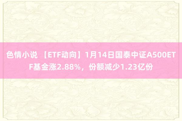 色情小说 【ETF动向】1月14日国泰中证A500ETF基金涨2.88%，份额减少1.23亿份